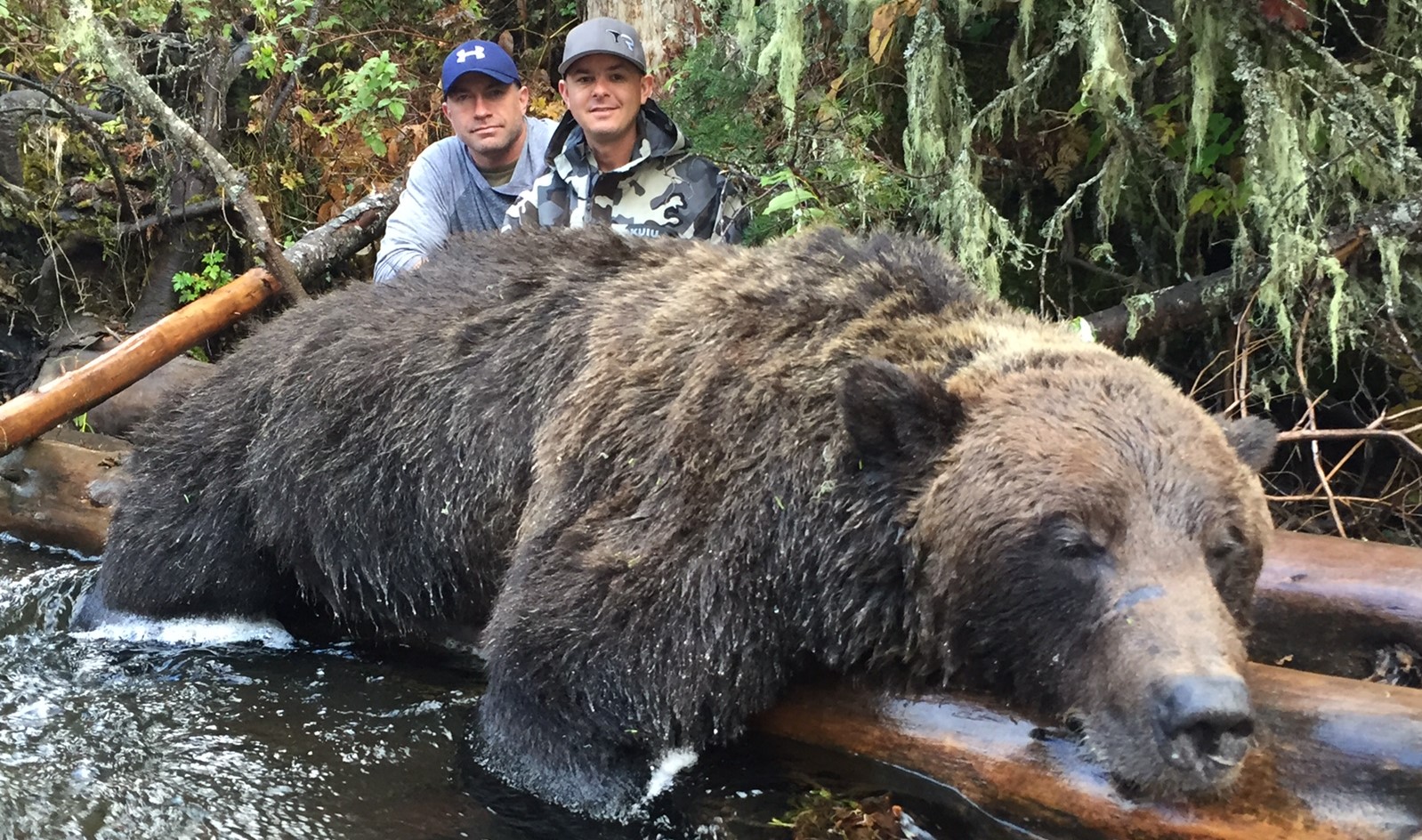 Grizzly Bear Hunting, British Columbia | Covert Outfitting