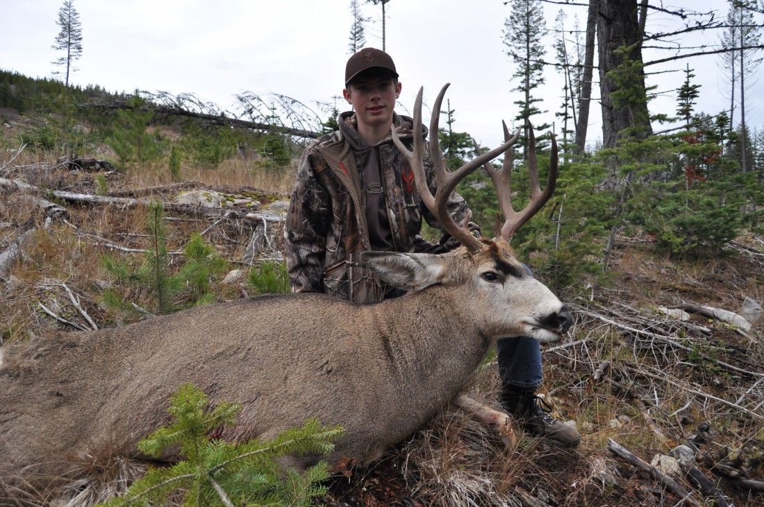 mule-deer-hunting-british-columbia-covert-outfitting