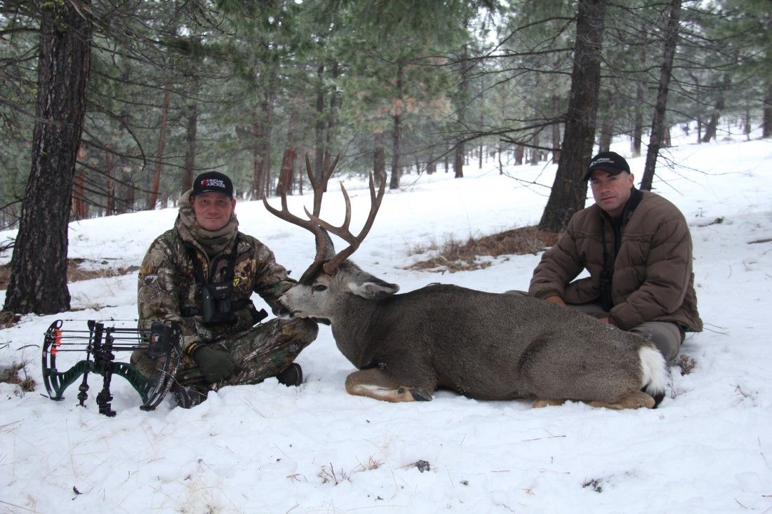 mule-deer-hunting-british-columbia-covert-outfitting